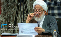 واکنش «آقا تهرانی» به حضور بازرسان آژانس در ایران