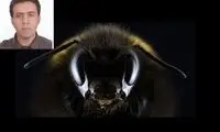 ایده شگفت‌انگیز دانشمند ایرانی برای هوش مصنوعی
