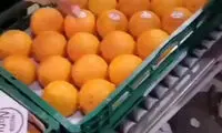 ببینید: شیوه جالب برچسب زدن به میوه‌ها