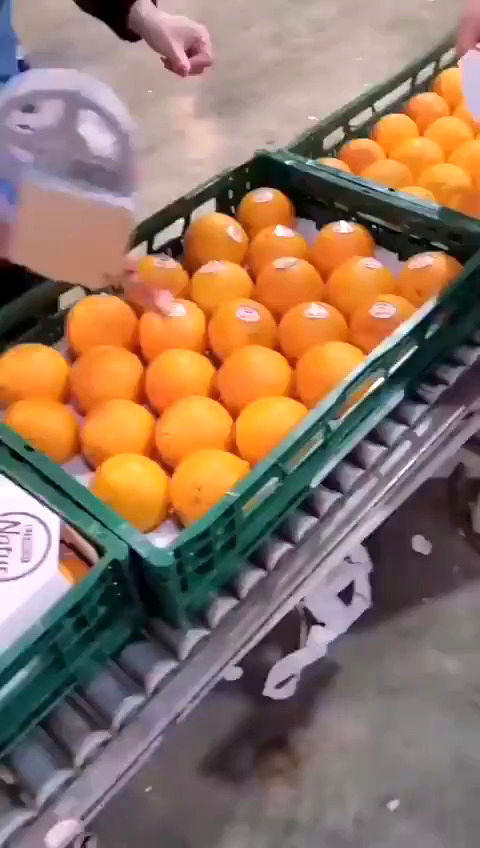 ببینید: شیوه جالب برچسب زدن به میوه‌ها