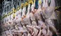 قیمت عمده فروشی مرغ در بازار 