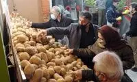 ناترازی انرژی به تولید صیفی‌جات رسید 