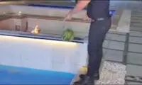 هشدار به خانواده‌هایی که بچه دارند و هندوانه می‌خورند
