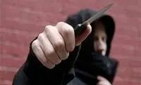 ویدئو جالب از دو سارق پت و مت ایران
