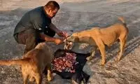 «عمو یاسین» از خدا بترس، این مردم گناه دارند