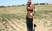 آب نرسید، اراضی گندمِ شرق اصفهان از بین رفت