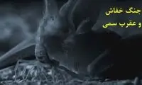  نبرد شگفت‌انگیز خفاش و عقربی با سم‌ مهلک