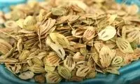 وقتی گلپر می خوریم چه اتفاقی در بدنمان می افتد؟