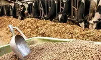 تخلف ۴۵هزار میلیارد تومانی در وزارت جهاد کشاورزی؟