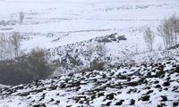 مردم این استان‌ها منتظر بارش حجیم برف باشند