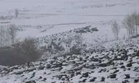 مردم این استان‌ها منتظر بارش حجیم برف باشند