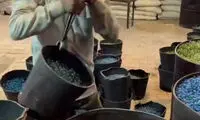 ویدئویی از نحوه ساختن تیله، وسیله خاطره‌بازی دهه شصتی‌ها