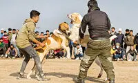 ادامه دعوایی که 5نفر را به کشتن داد در دو استان!