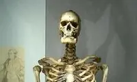 غول ایرلندی ۲۰۰سال پس از ربوده شدن به آرامش رسید!