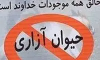 اقدامی که داد فعالان حقوق حیوانات را درآورد