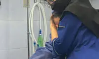 نهایت مهربانی را در این عکس ببینید