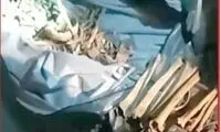 راز استخوان‌های دفن شده در مشهد!