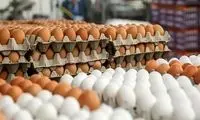 قیمت جدید هر شانه تخم مرغ اعلام شد