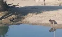 کنایه مجری تلویزیون به یک طرح عجیب در سیستان و بلوچستان