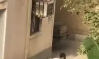 واکنش پلیس به فیلم جنجالی سرقت سیم برق