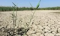 ۹ تالاب ایران بیابان شد!