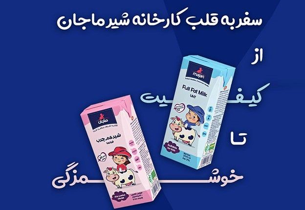 سفری شفاف به پشت صحنه تولید شیرهای ماجان