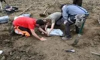 کشف گنج سه‌ هزار و پانصد ساله در مرزعه هویج