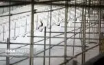 یک شاهکار دیگر از پروژه بازسازی ورزشگاه آزادی!
