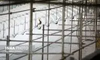 یک شاهکار دیگر از پروژه بازسازی ورزشگاه آزادی!