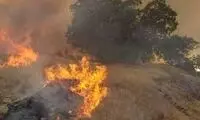 وقوع آتش‌سوزی گسترده در مراتع کرمانشاه 