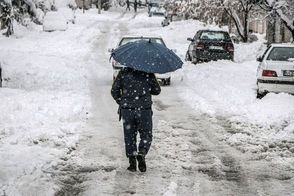 برف و سرما نصف ایران را تعطیل کرد!