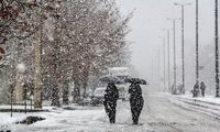 این ۱۲ استان امروز برفی و بارانی هستند