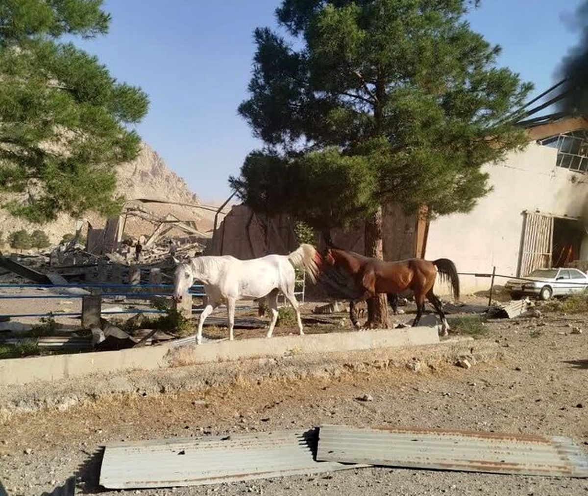   حمله اسرائیل به ۲ اسطبل پرورش اسب در کرمانشاه 