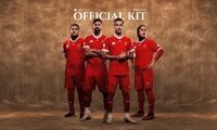 سربازان هخامنشی محافظ پرسپولیس شدند!