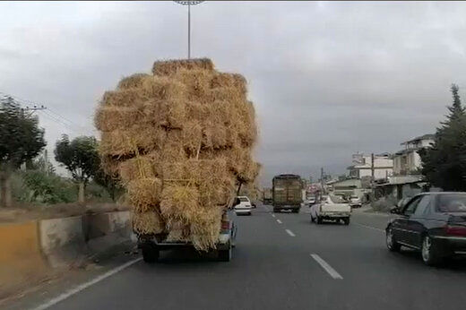 اقدام عجیب راننده نیسان در رودسر خبرساز شد