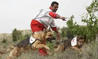 تصاویری از درمان «لئو»، سگ‌ زنده‌یابِ هلال‌احمر
