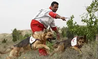 تصاویری از درمان «لئو»، سگ‌ زنده‌یابِ هلال‌احمر