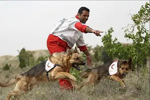 تصاویری از درمان «لئو»، سگ‌ زنده‌یابِ هلال‌احمر