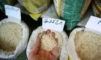 قیمت برنج پاکستانی از ایرانی گرانتر شد! 