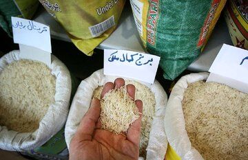 قیمت برنج پاکستانی از ایرانی گرانتر شد! 