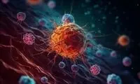 سهم بیشتر زنان در ابتلا به یک بیماری مقاربتی