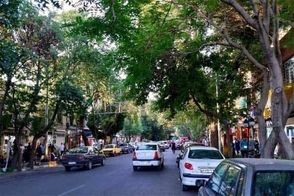 شاهکار هنری جدید روی درختان سربریده در تهران!