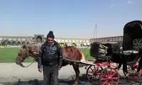 لحظات جالبِ درشکه سواری در نقش جهانِ اصفهان