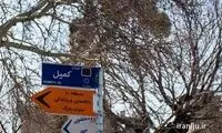 سفر به تهرانِ ۲۲ سال پیش؛ خیابان کمیل در قاب خاطره