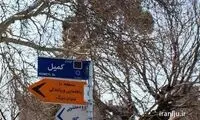سفر به تهرانِ ۲۲ سال پیش؛ خیابان کمیل در قاب خاطره