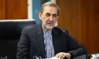 تصاویری از علی اکبر ولایتی در نشست وزیران خارجه