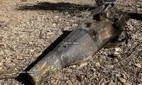 آمریکا مدعی نجات یکی از خلبان‌هایش در ایران شد