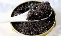 قیمت باورنکردنی خاویار سوژه شد 