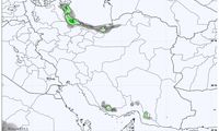 مردم این مناطق امروز و فردا منتظر بارش باران باشند