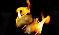 انسان‌ها از چه زمانی شروع به آشپزی کردند؟